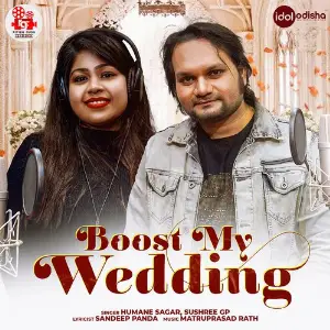 Boost My Wedding image