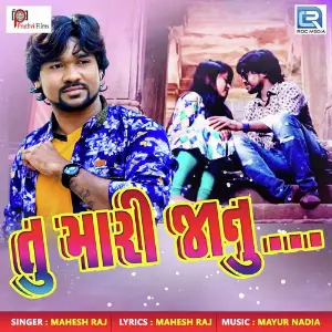 Tu Mari Janu image