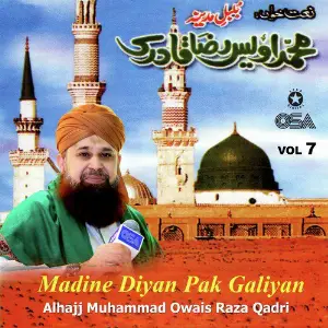 Madine Diyan Pak Galiyan, Vol. 7 image