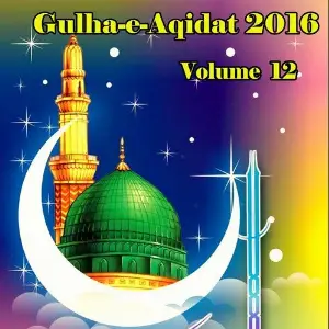 Gulha-e-Aqidat 2016, Vol. 12 image