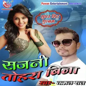 Sajani Tohare Bina image
