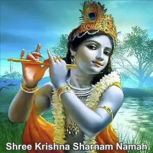 Shree Krishna Sharnam Namah image