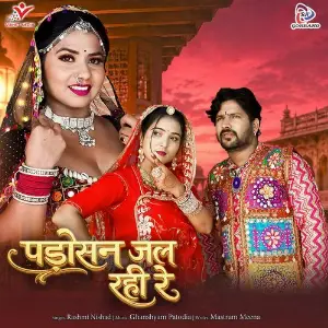 Padosan Jal Rahi Re image