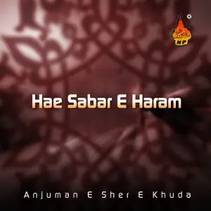 Hae Sabar-e-Haram image