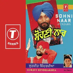 Sohni Naar image