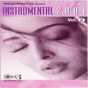 Instrumental 2001 (Vol. 2) image