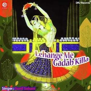 Lahanga Me Gadab Killa image