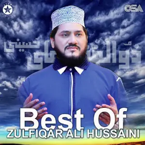 Best of Zulfiqar Ali Hussaini image
