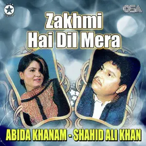 Zakhmi Hai Dil Mera image