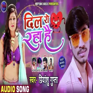 Dil Ro Raha Hai image