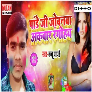 Pandey Ji Jobnawa Akawar Rangihaye image