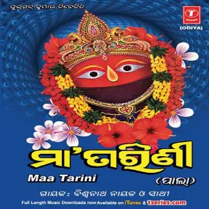Maa Tarinee (Non Stop) image