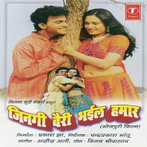 Zingi Bairi Bhayil Humaar image