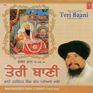 Teri Baani image