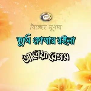 Tumi Kothai Roila image