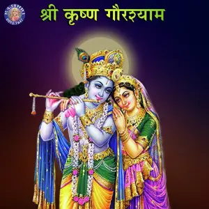 Shree Krishna Gaurshyam image