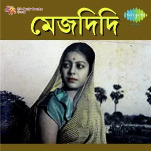 Mejdidi image