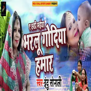 Ae Chhathi Maiya Bharlu Godiya Hamar image