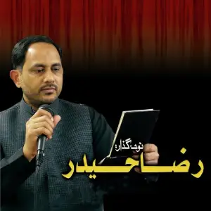 Raza Haider image