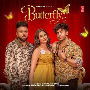 Butterfly image