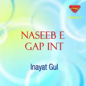 Naseeb-e-Gap Int, Vol. 9 image