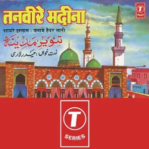 Tanveere Madina image