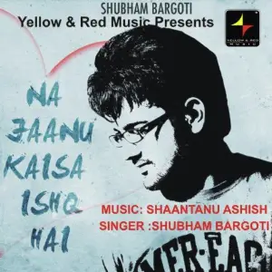 Na Jaanu Kaisa Ishq Hai image