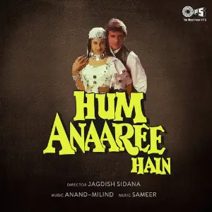 Hum Anaaree Hain image