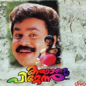 Kalyanappittannu image