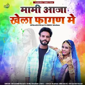 Mami Aaja Khela Fagan Me image