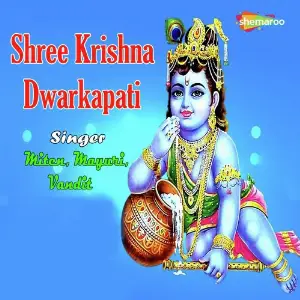 Shree Krishna Dwarkapati image