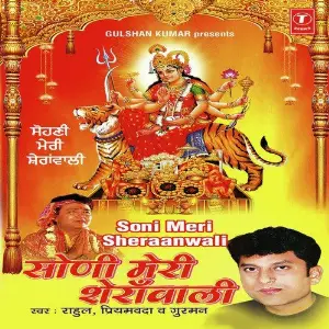 Sohni Meri Sheranwali image