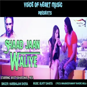 Shaad Jaan Waliye image