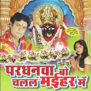 Pardhanwa Bo Maihar Mein image