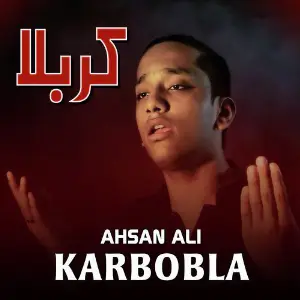 Karbobla image