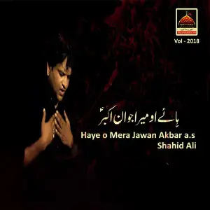Haye O Mera Jawan Akbar image