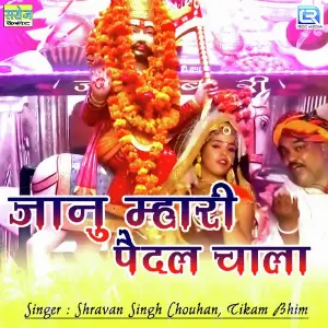 Janu Mhari Paidal Chaala image