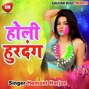 Holi Hurdang image