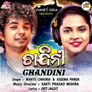 Chandini image