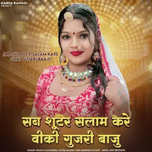 Sab Shooter Salam Kare Vicki Gujari Baaju image