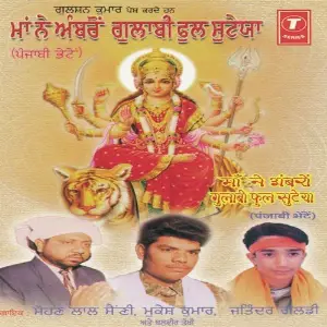 Maa Ne Ambron Gulabi Phool Suteya image