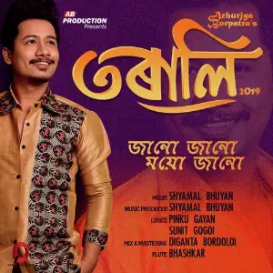 Janu Janu Moiu Janu - Single image