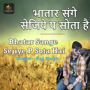 Bhatar Sange Sejiye P Sota Hai image
