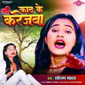 Kath Ke Karejwa image