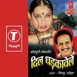 Dil Dhadkawaile image