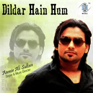 Dildar Hain Hum image