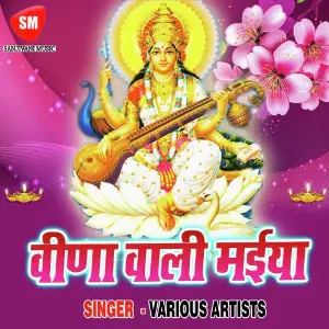 Veena Wali Maiya image