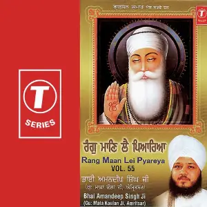 Rang Maan Lei Pyareya (Vol. 55) image