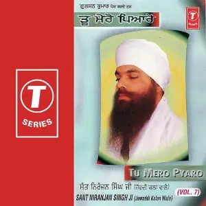 Tu Mero Pyaro (Vol. 7) image