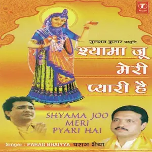 Shyama Joo Meri Pyari Hai image